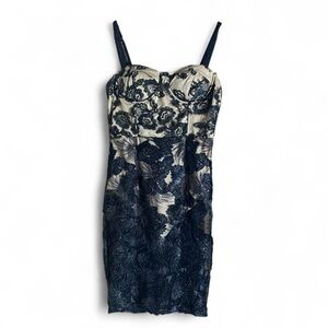 Elegant Navy and Cream Lace Dress